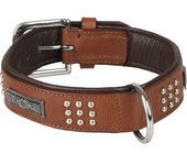 Flamingo Collar Para Perro Sedona