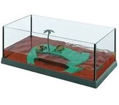 Ferplast Terrario Para Tortugas Haiti 50 51.5x27x18 Cm