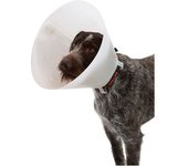 Kruuse Collar Para Perro K273325 Elizabethan 10 Unidades