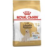 Royal Canin Comida Para Perros Labrador Retriever Adultos Mayores De 12 Años 5kg