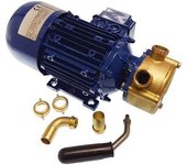 Goldenship Bomba De Agua Eléctrica 12v