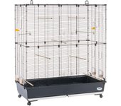 Ferplast jaula para pájaros, aviario planeta large jaula grande pájaros, canarios, periquitos, cotorras, agapornis, de metal, todos los accesorios