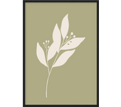 Lámina decorativa para enmarcar flor musa v 70x100 cm