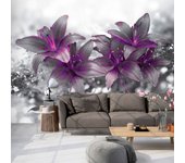 -talla ancho 150 x alto 105 cm