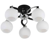 Plafon pissis negro de 5 luces con tulipa blanca