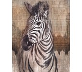 Fotomural zebra beige y gris - 200 x 250 cm - komar