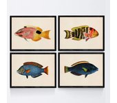 Set de 4 láminas con pez colorido efecto vintage tono azul, amarillo. composicion de 4 peces diferentes en , fondo papel vintage. sin marco - a4