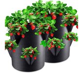Bolsas de cultivo para fresas (2 unidades, 8 agujeros, gruesas, negras, 10 galones, 35 x 45 cm)