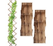 Relaxdays 3 guías plantas trepadoras, extensibles, enrejado enredaderas 180cm, jardín, balcón, terraza, madera, marrón