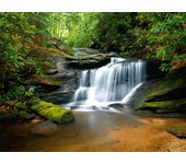 Fotomural cascada verde - 360 x 270 cm - sanders & sanders