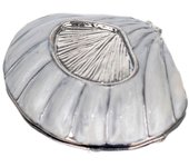 By sigris cajita concha gris de metal 3x6x7cm caja caja bonita cajita madera regalo