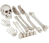 Relaxdays esqueleto decoración halloween, kit 12 huesos decorativos, interior y exterior, calavera, manos y más, crema