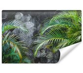 Papel pintado no tejido foto hojas de palma de hormigón para el dormitorio 360cm x 240cm