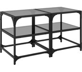 Mesa de centro con tapa de cristal, 2 piezas, acero negro, 40 x 40 x 45 cm
