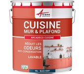Pintura lavable para cocina, pared y techo: arcadeco cocina - 10 l azul verdoso - arcane industries