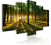 Tableau - adventure in the woods [225x112.5]
