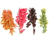 4 piezas de plantas de plástico para hábitat de reptiles, terrario realista con hojas decorativas