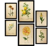 Nacnic posters de flores amarillas ilustraciones de naturaleza y botánica estilo papel vintage con temas florales para la a4 & a3 marco negro