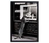 Cuadro con marco negro 40x30 cheetah