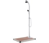 Maison exclusive - ducha de jardín con base marrón 220 cm aluminio