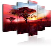 Tableau - wild savannah [225x112.5]
