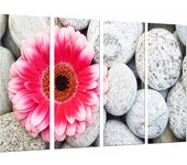 Minimalista, zen relax piedras flor rosa, petalos fuscia , impresión fotográfica sobre madera, cuadro moderno decorativo