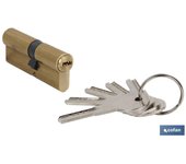 Cilindro de seguridad de latón 40/40 - leva larga