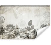 Vlieseline papel pintado foto para dormitorio hojas plantas de hormigón 450cm x 300cm