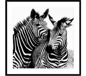 Cuadro zebra cristal (2 x 50 x 50 cm) - marca: versa - ean: 8420327471253