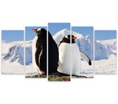 Cuadro 5 partes cuadro foto dúo de pingüinos - 150x80 cm