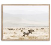 Cuadro grazing zebras