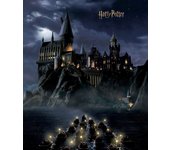 Fotomural harry potter colegio hogwarts negro y azul oscuro - 2,25 x 2,7 m - sanders & sanders