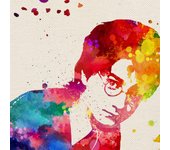 Pack de posters para enmarcar harry potter poster acuarela lamina con imagenes de la pelicula harry potter papel 250 gr xerox marco negro a4