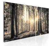 Tableau - rayon de soleil [150x50]