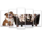 Cuadro deco familia de bulldogs inglés, 150x80cm