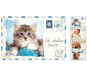 12x salvamanteles de navidad h&h cats&dogs 45x30 cm polipropileno