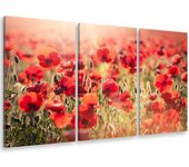 Cuadro tríptico, cuadro foto deco sobre lienzo impreso amapolas nuevas, 90x60cm
