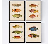 Set de 4 láminas de peces coloridos efecto vintage. composicion de 11 peces diferentes, fondo papel antiguo vintage sin marco - a4
