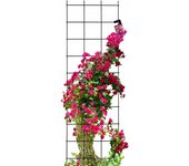 Kadax pérgola de jardín soporte metálico para plantas rosas flores rejilla 45x150