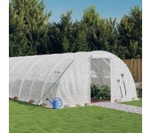 Invernadero con estructura de acero blanco 24 m2 6x4x2 m