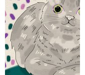 Set de 3 láminas gatos grises y blancos en , colorido divertido poster papel 250 gr alta calidad. sin marco - a3