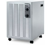 Deshumidificador profesional eléctrico woods sw59fm gris