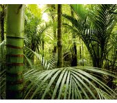 Fotomural jungla verde - 360 x 270 cm - sanders & sanders