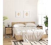 Pack de 2 mesitas de noche，mesilla de noche madera maciza pino negro ratán natural cfw77498
