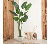 Planta artificial grande - ave del paraíso 210 cm