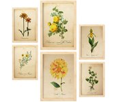 Nacnic posters de flores amarillas ilustraciones de naturaleza y botánica estilo papel vintage con temas florales para la a4 & a3 marcos color madera