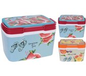 Nevera decorada 5l surtida
