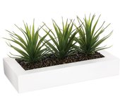 Wellhome centro de mesa decorativo con 3 plantas aloe vera h.17cm