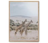 Cuadro giraffe in the savana i