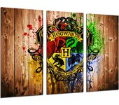 Set cuadros peliculas harry potter hogwarts , impresión digital sobre madera